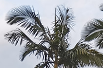 深圳土地争议律师实务专题