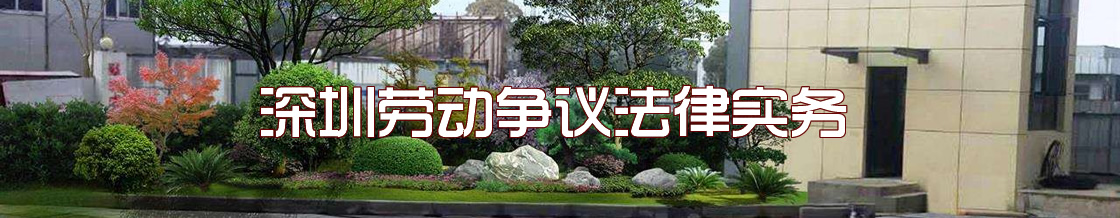 深圳劳动维权律师实务专题