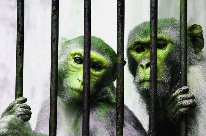 判决生效前实施隐藏转移财产，持续至判决生效后构成拒执罪