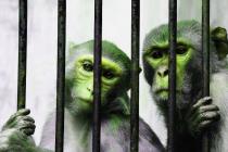 判决生效前实施隐藏转移财产，持续至判决生效后构成拒执罪