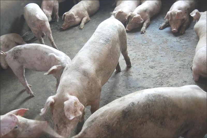 即便被告原因导致原告无法举证,亦非直接支持原告所有赔偿请求 即便被告原因导致原告无法举证,亦非直接支持原告所有赔偿请求