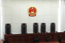 专家论证意见系观点并非证据，不能作为认定客观事实的根据