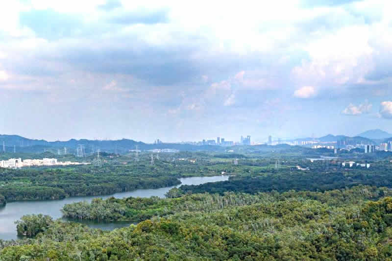 信访复核意见作出新的安排，应属于行政诉讼的受案范围