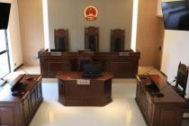 行政诉讼全面审查原则通常适用于诉讼标的为行政行为的单一案件中