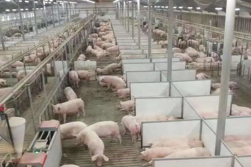 作出行政行为时应予考虑保护的合法权益，才具有提起行政诉讼的原告诉讼主体资格