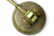 作出行政行为未具体引用适用的法律条文，属适用法律上的瑕疵不属于适用法律错误