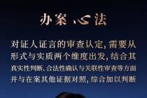 如何审查民事案件中的证人证言？
