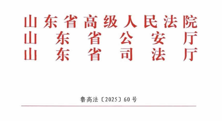 山东省道路交通事故损害赔偿项目计算标准（试行）（鲁高法〔2025〕60号）