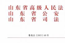 山东省道路交通事故损害赔偿项目计算标准（试行）（鲁高法〔2025〕60号）